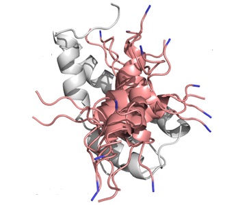 Tanscriptional Regulation