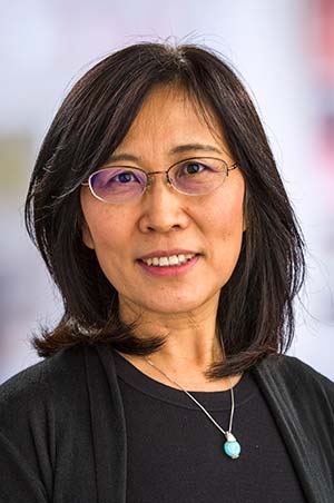 Dr. Shuying (Sue) Li PhD